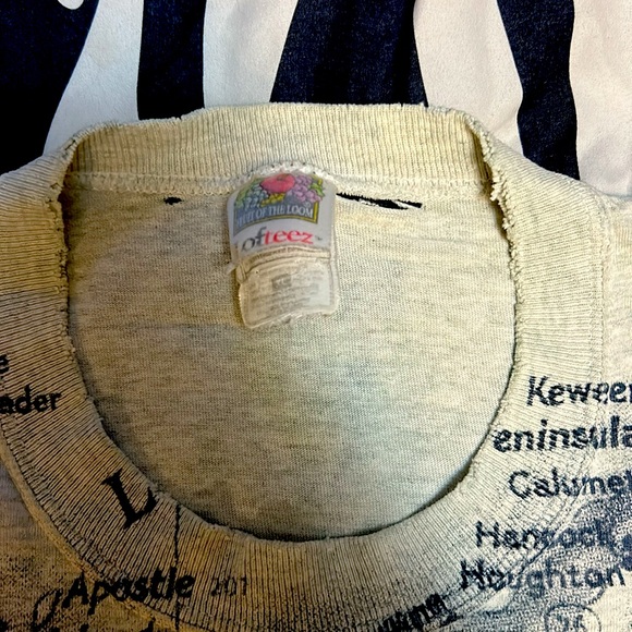 Vintage Used (Mainly) Wisconsin Map / Deer T shirt - Picture 3 of 6